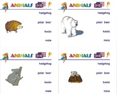 Holzcomputer-animals 18.pdf